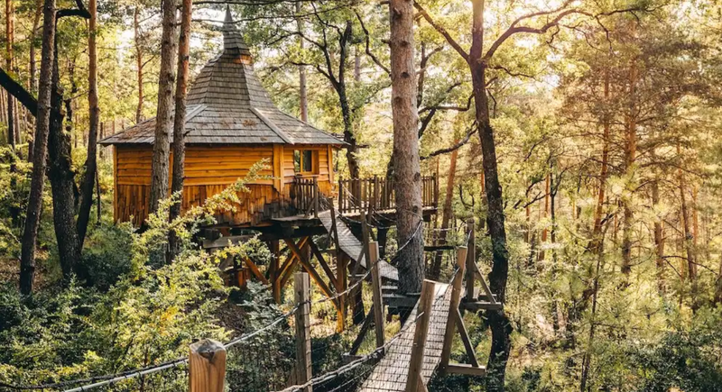 La cabane Aristoloche