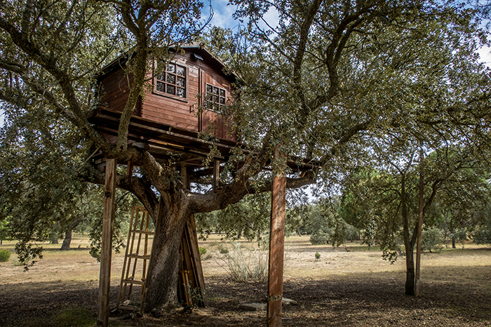 Cabane