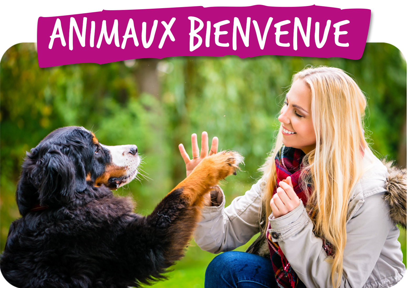 Animaux bienvenus
